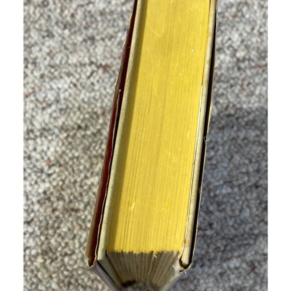 Love is Eternal A Novel about Mary Todd and Abraham Lincoln~Irving Stone 1954 - Picture 8 of 11